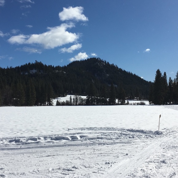 Meet your Posher, C - Picture 6 of 8